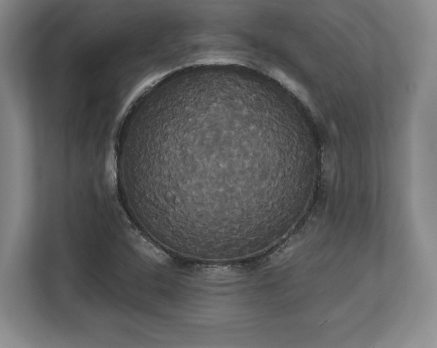 X0000113061408200909041029