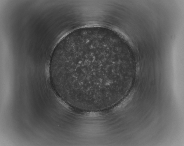 X0000113061409200909041029