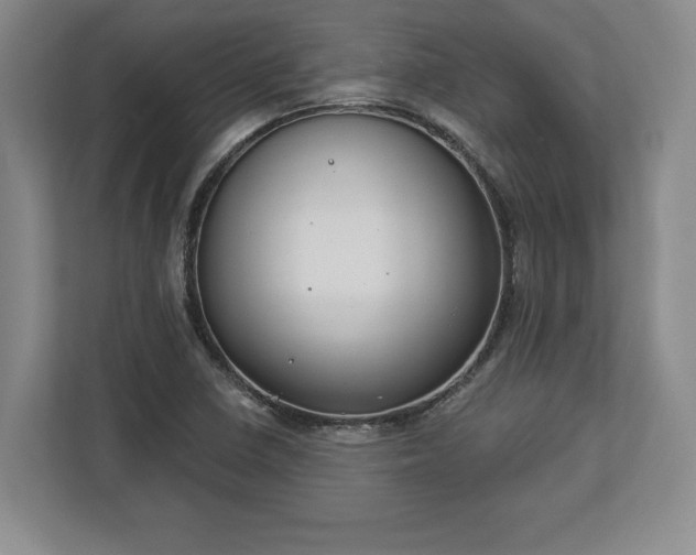 X0000113061410200909041029
