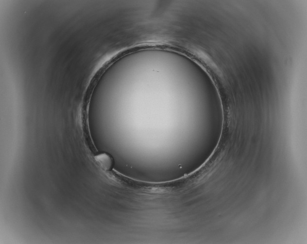 X0000113061412200909041029
