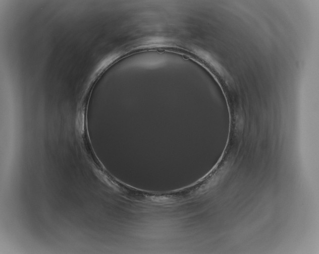 X0000113061413200909041029