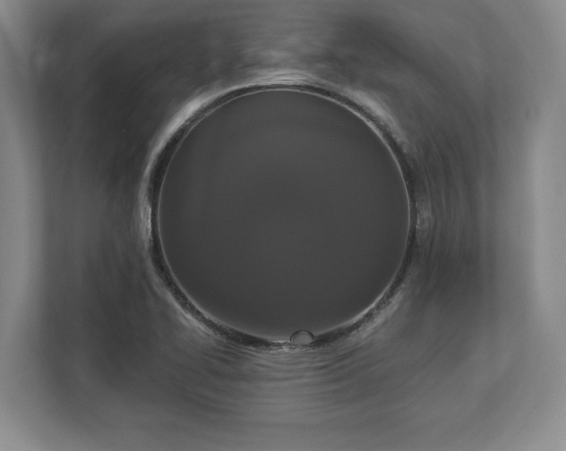 X0000113061414200909041029