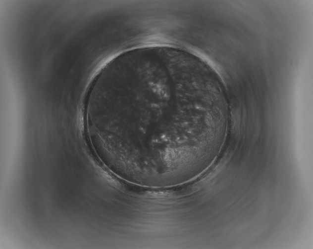 X0000113061415200909041029