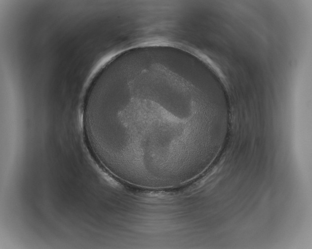 X0000113061416200909041029