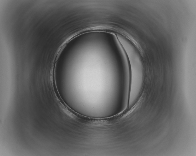 X0000113061417200909041029