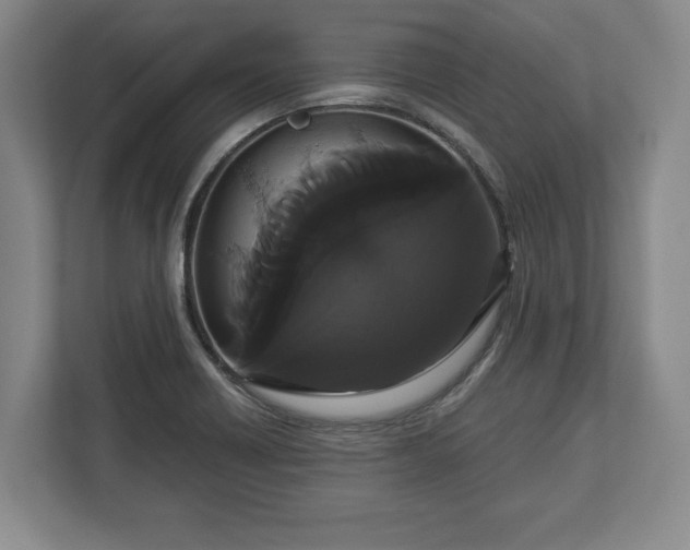X0000113061418200909041029
