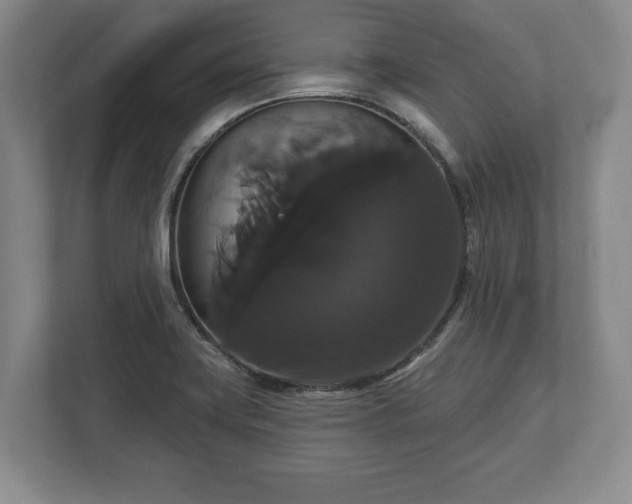 X0000113061419200909041029