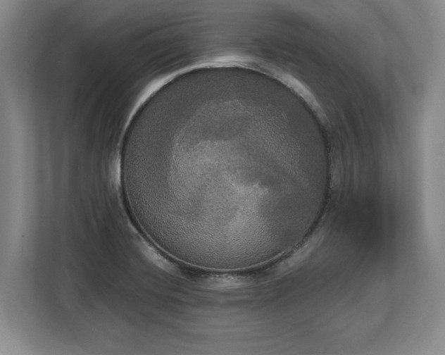 X0000113061420200909041029