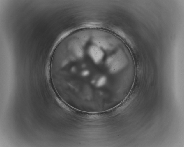 X0000113061421200909041029