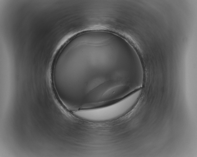 X0000113061422200909041029