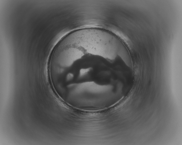 X0000113061423200909041029
