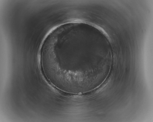 X0000113061424200909041029