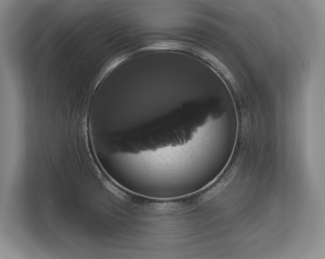 X0000113061425200909041029