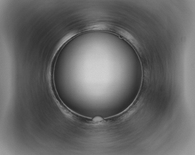 X0000113061426200909041029