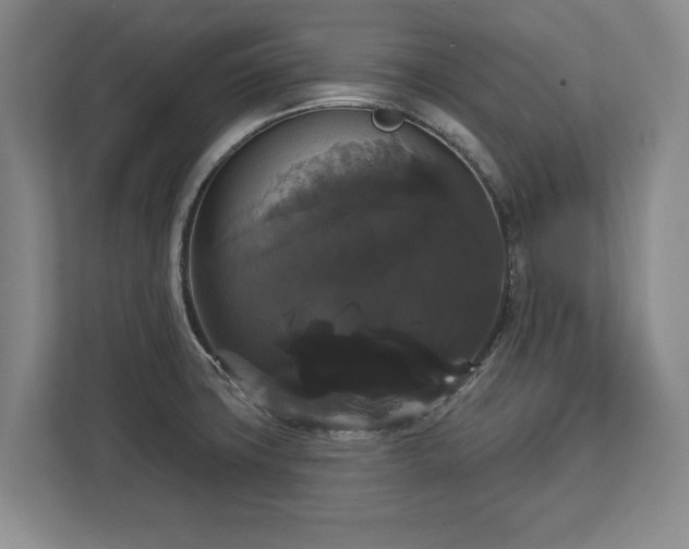 X0000113061427200909041029