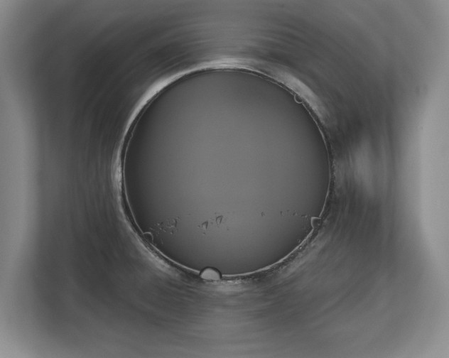 X0000113061428200909041029