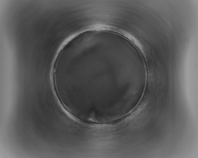 X0000113061429200909041029