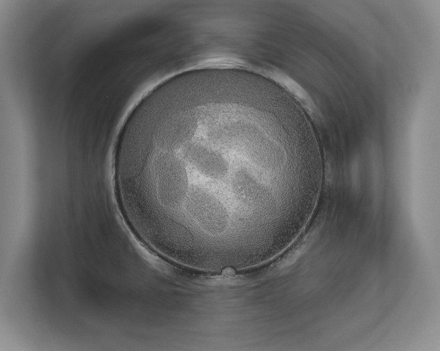 X0000113061430200909041029