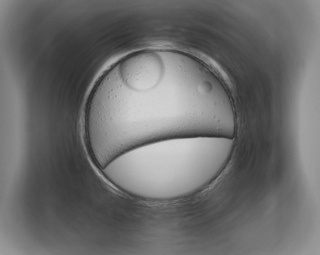 X0000113061432200909041029