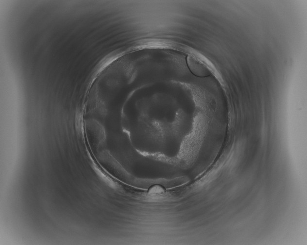 X0000113061433200909041029