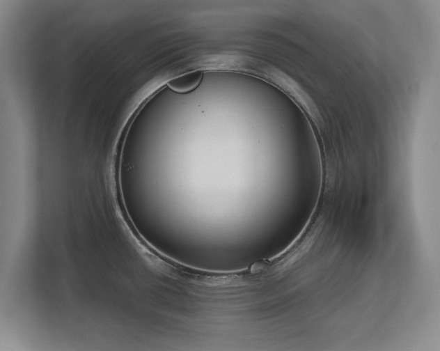 X0000113061434200909041029