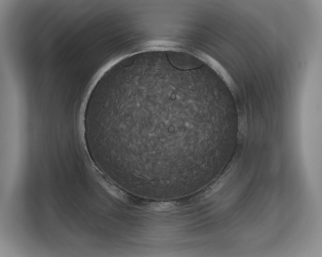 X0000113061435200909041029