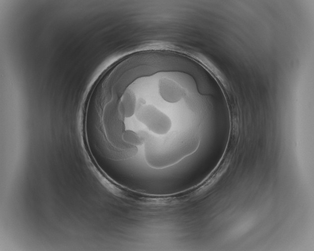 X0000113061438200909041029