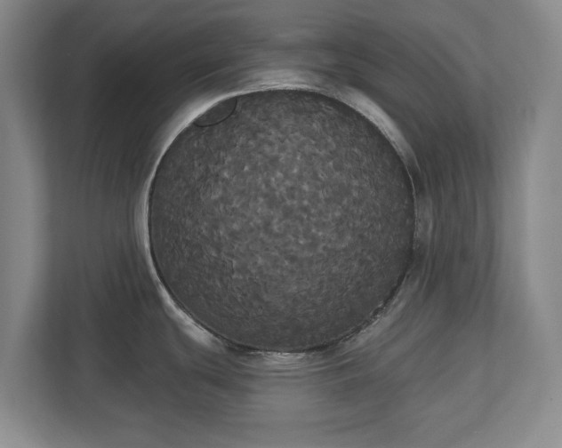 X0000113061439200909041029