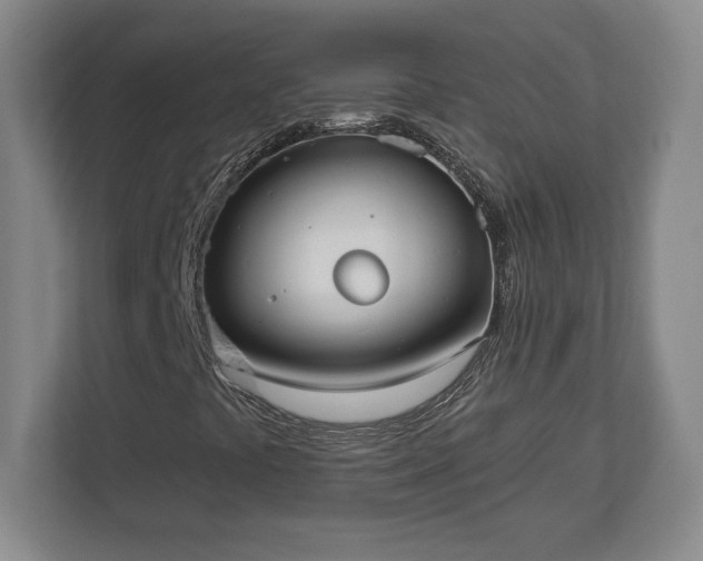 X0000113061441200909041028