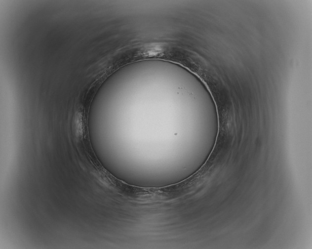 X0000113061442200909041028