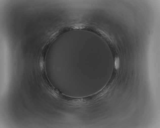 X0000113061444200909041028