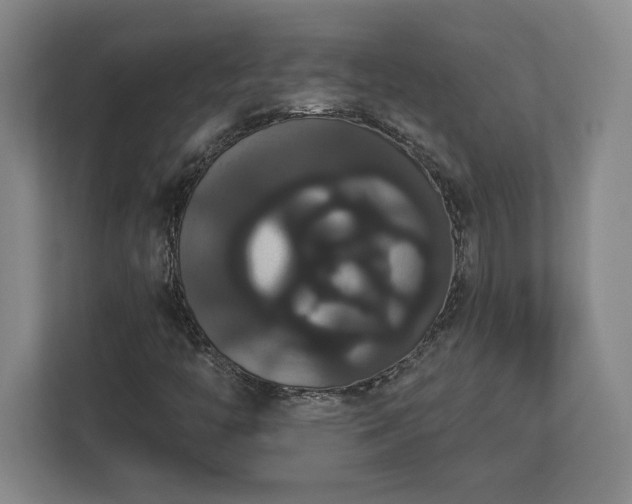 X0000113061446200909041028