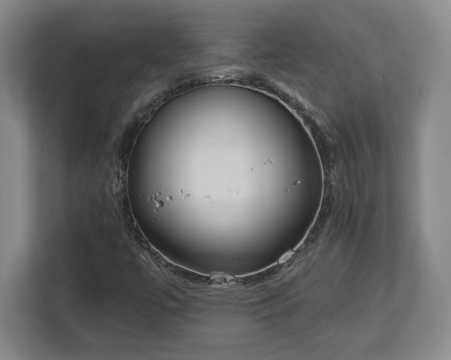 X0000113061447200909041028