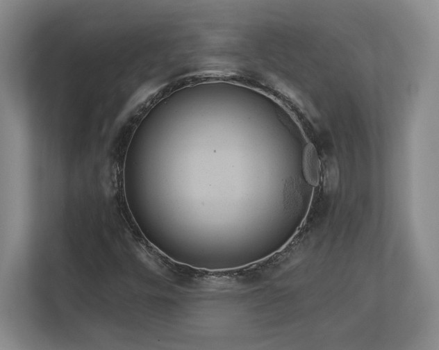 X0000113061448200909041028