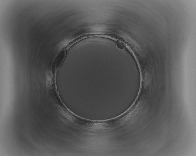 X0000113061449200909041028