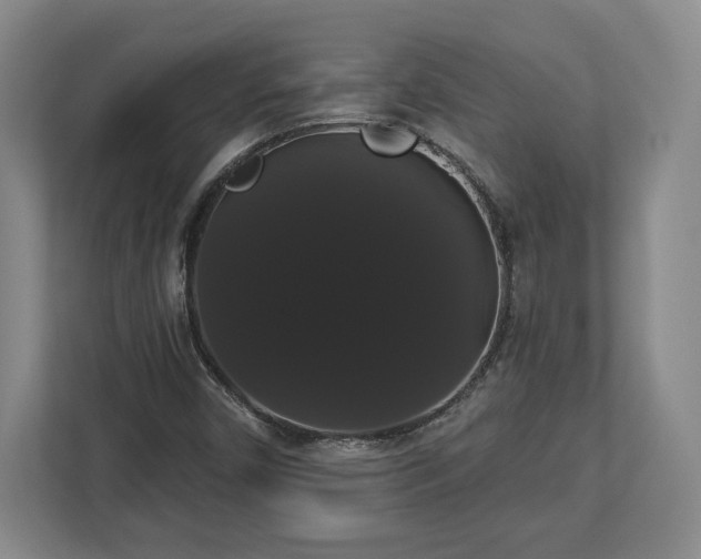 X0000113061450200909041028