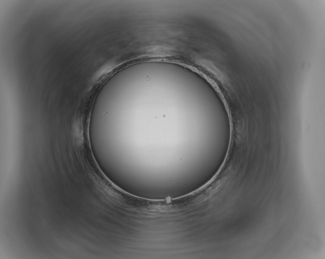 X0000113061451200909041028