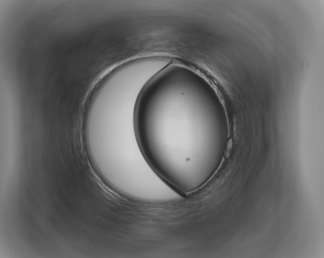 X0000113061452200909041028