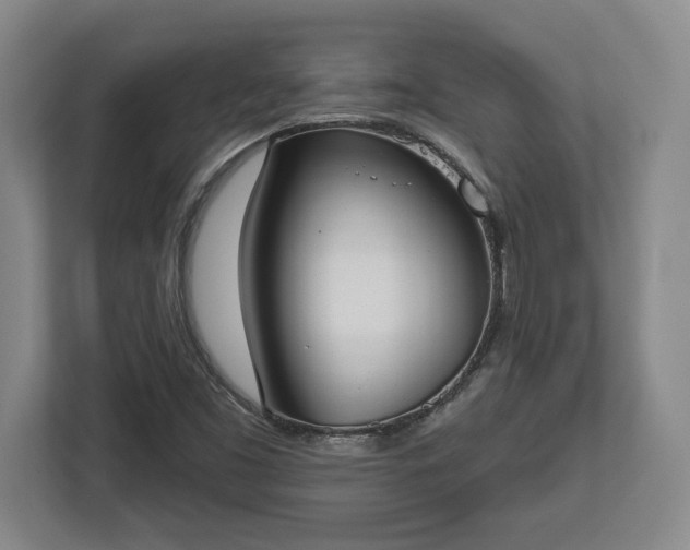 X0000113061453200909041028