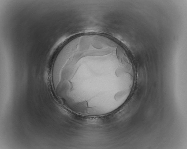 X0000113061454200909041028