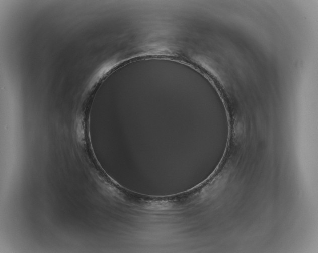 X0000113061455200909041028