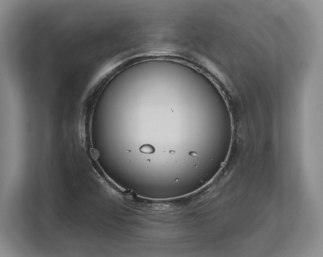X0000113061456200909041028