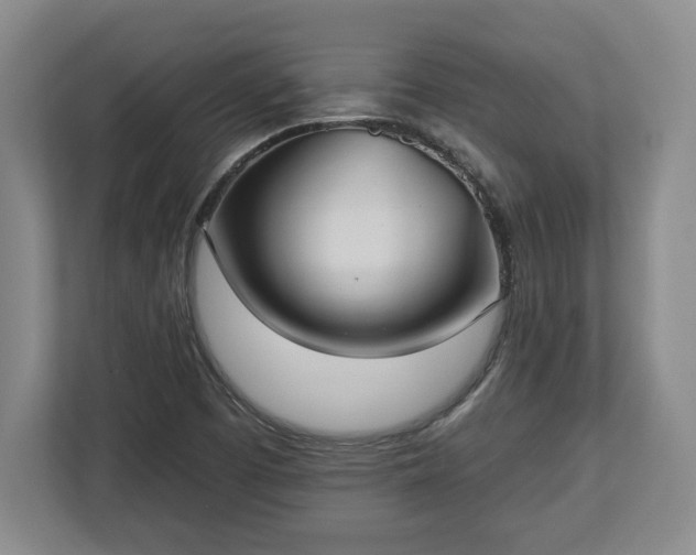 X0000113061457200909041028