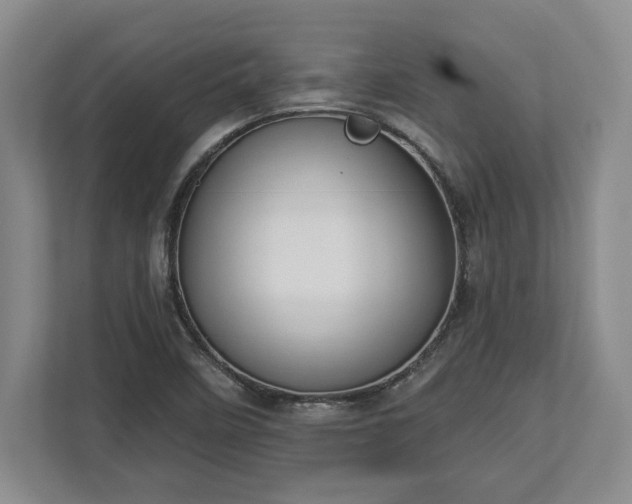 X0000113061458200909041028