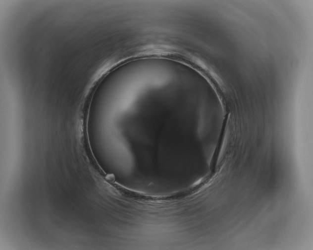 X0000113061459200909041028