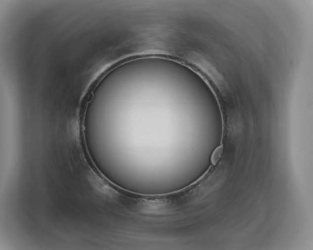 X0000113061460200909041028