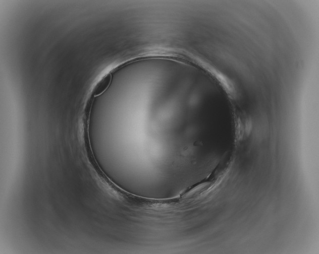 X0000113061463200909041028