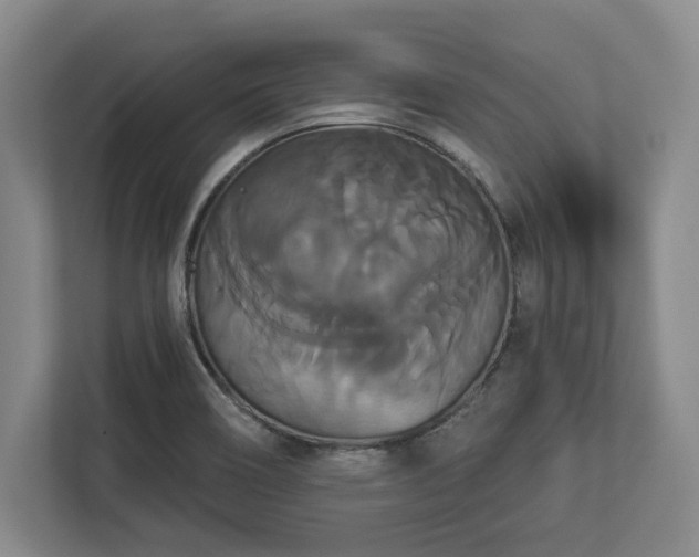 X0000113061466200909041028