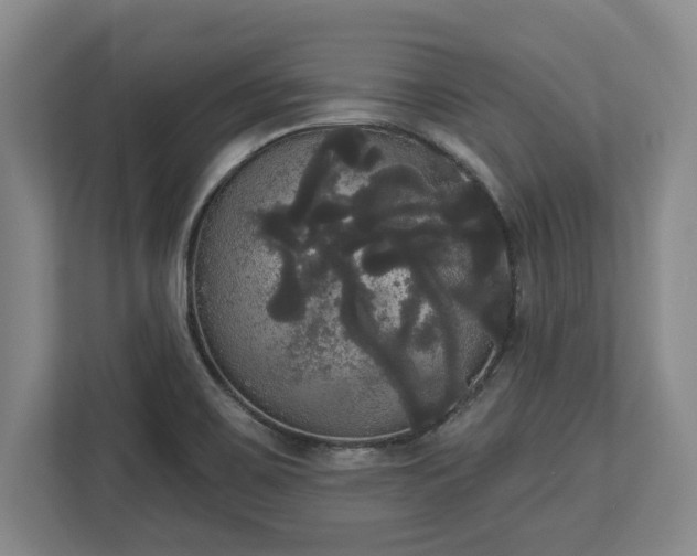 X0000113061467200909041028