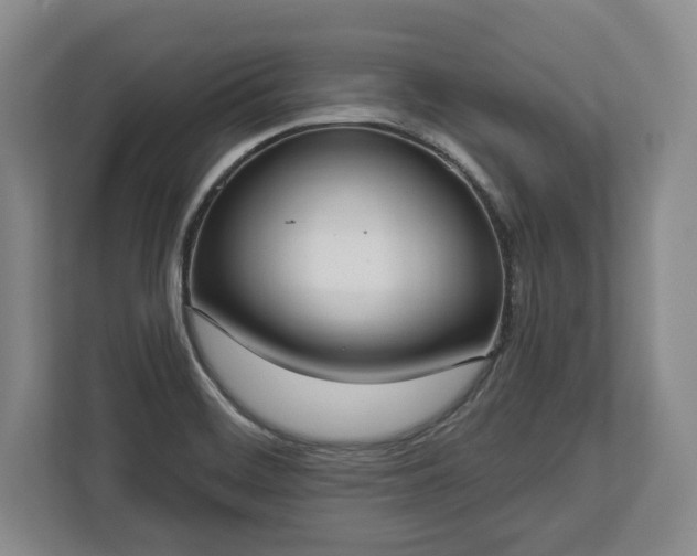 X0000113061468200909041028